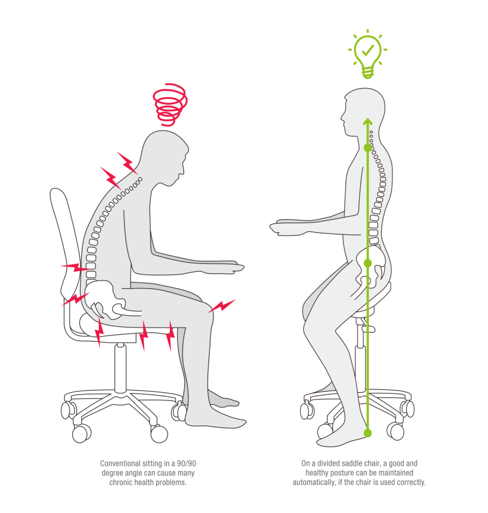 Different Types Seats Illustration Set About Healthy Natural